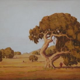 Charles L. A. Smith ‘Windblown Oak, Monterey’