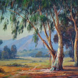 Paul Grimm ‘Eucalyptus Griffith Park’